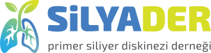 Silyader